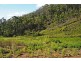 Lot 20 Forest Heights Drive, Tugrah TAS 7310