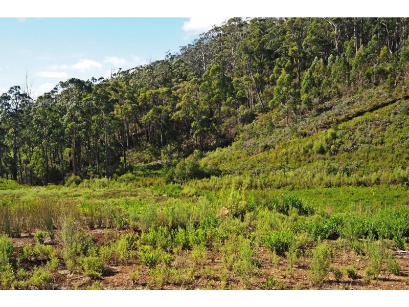 Lot 20 Forest Heights Drive, Tugrah TAS 7310