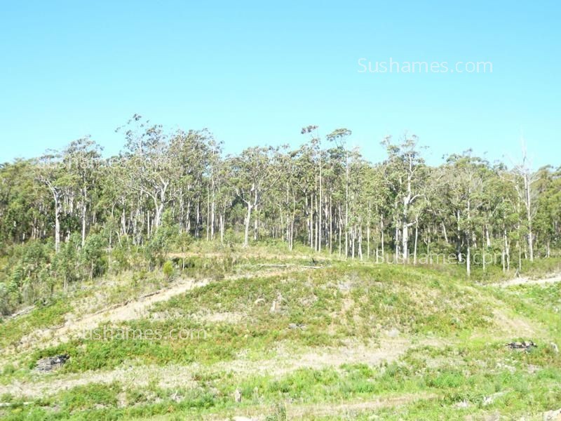 Lot 20 Forest Heights Drive, Tugrah TAS 7310