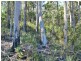 Lot 20 Forest Heights Drive, Tugrah TAS 7310