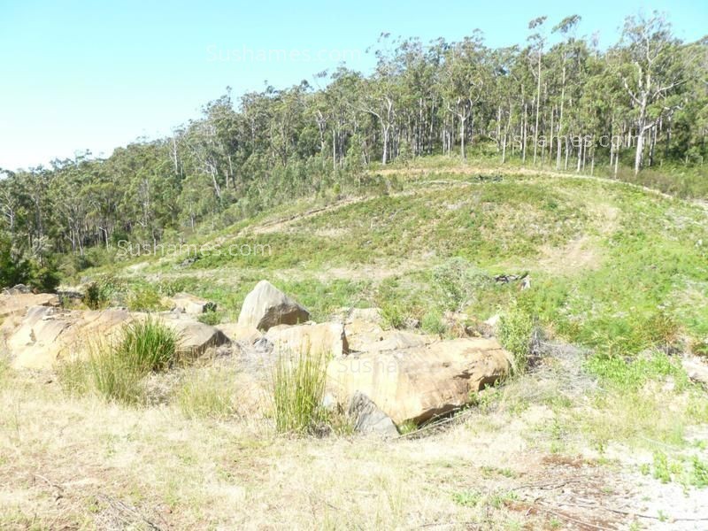 Lot 20 Forest Heights Drive, Tugrah TAS 7310