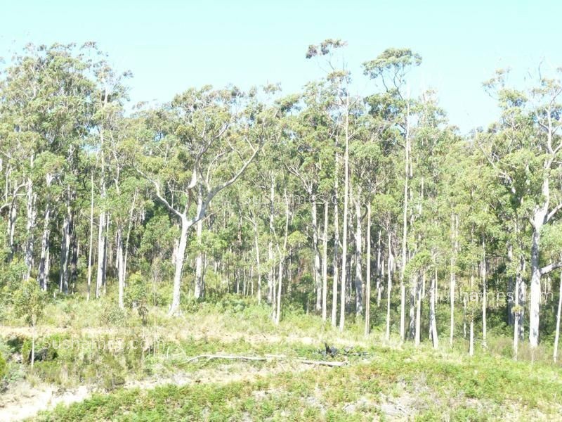 Lot 20 Forest Heights Drive, Tugrah TAS 7310