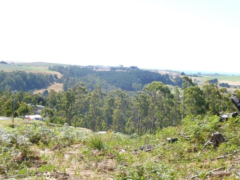 Lot 20 Forest Heights Drive, Tugrah TAS 7310