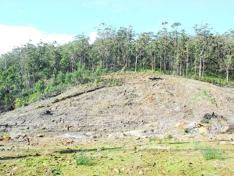 Lot 20 Forest Heights Drive, Tugrah TAS 7310