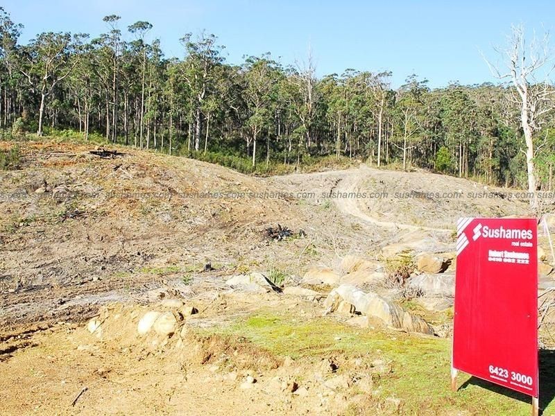 Lot 20 Forest Heights Drive, Tugrah TAS 7310