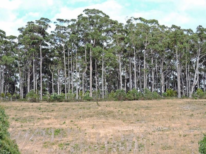 Lot 6 Mangana Drive, Tugrah TAS 7310