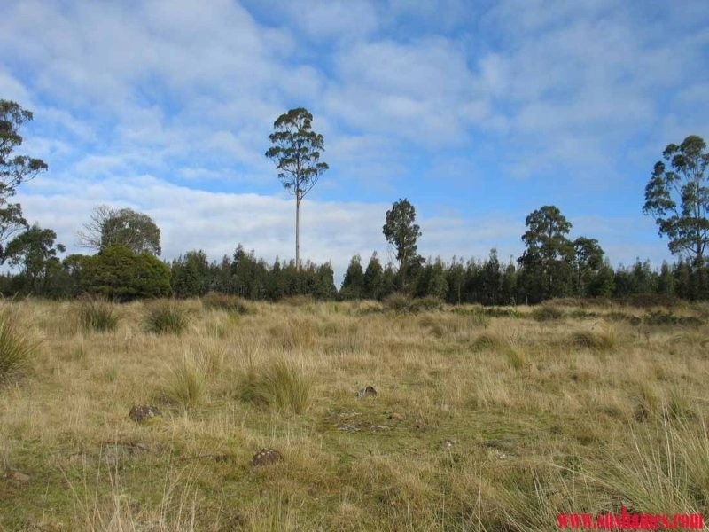 83 Kellys Cage Road, Weegena TAS 7304