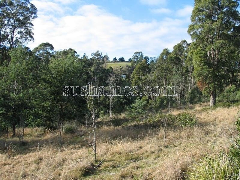 83 Kellys Cage Road, Weegena TAS 7304