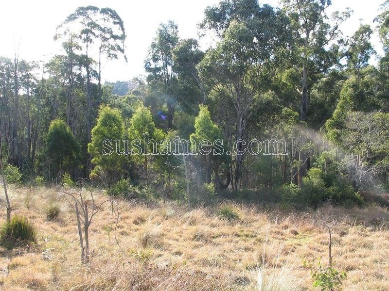 83 Kellys Cage Road, Weegena TAS 7304