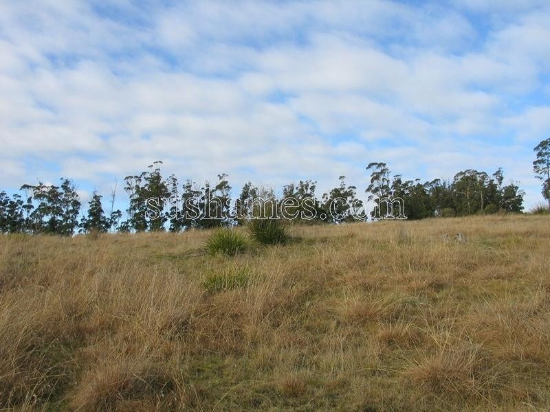 83 Kellys Cage Road, Weegena TAS 7304