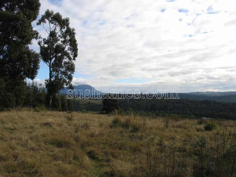 83 Kellys Cage Road, Weegena TAS 7304