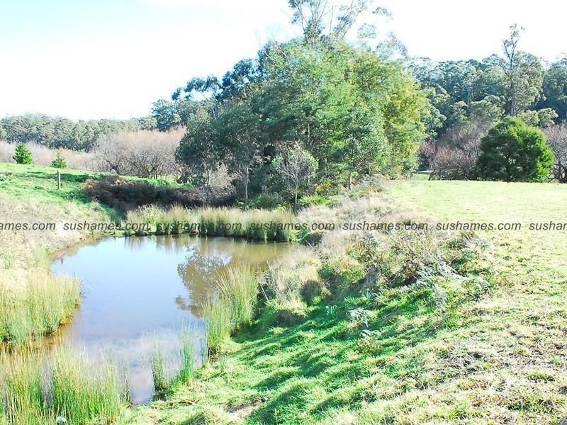 Lot 17 Collins Way, Tugrah TAS 7310