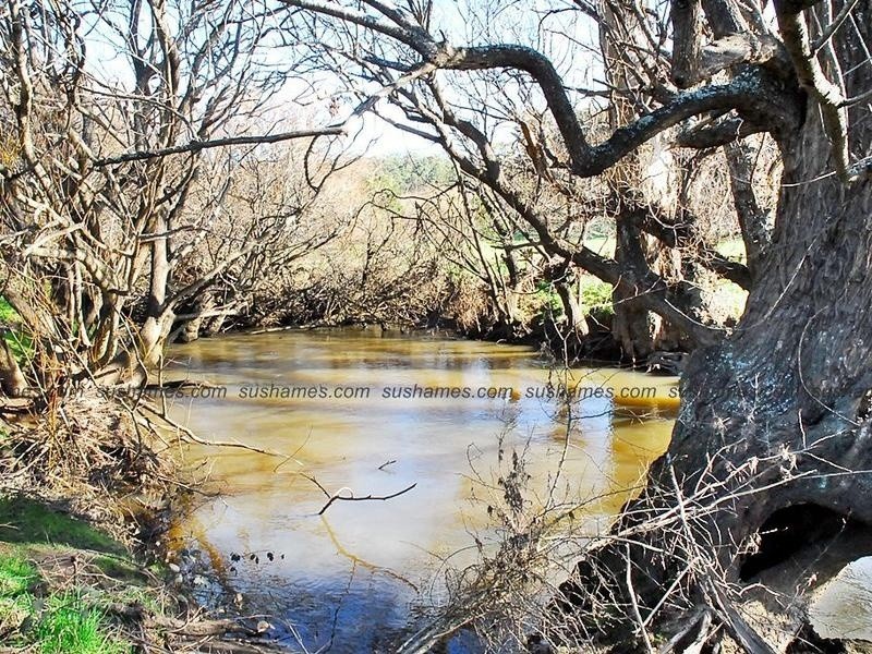 Lot 17 Collins Way, Tugrah TAS 7310