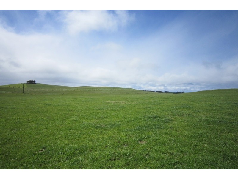 10 Bills Road, Henrietta TAS 7325