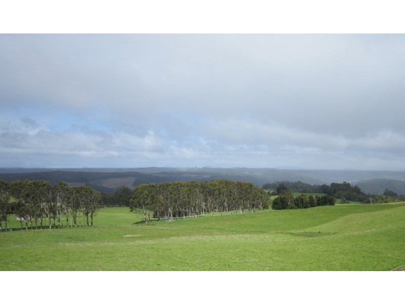 10 Bills Road, Henrietta TAS 7325