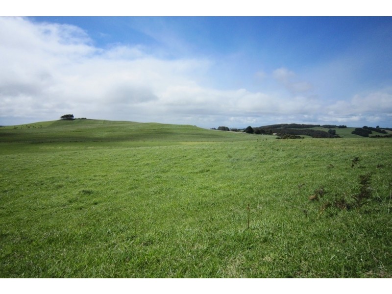 10 Bills Road, Henrietta TAS 7325