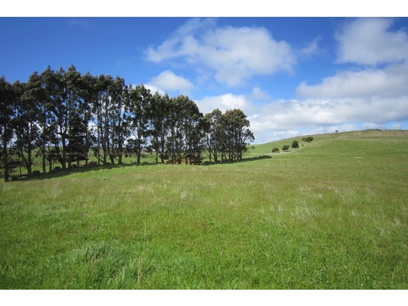 10 Bills Road, Henrietta TAS 7325