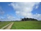 10 Bills Road, Henrietta TAS 7325