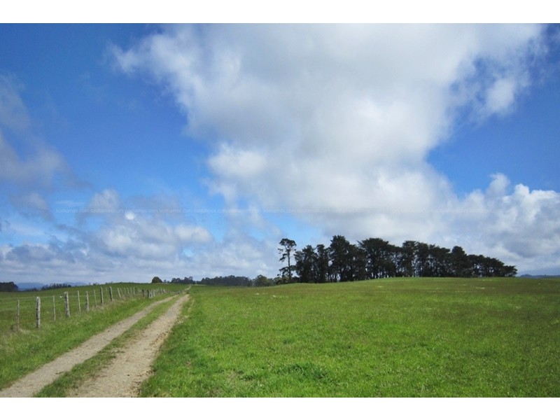 10 Bills Road, Henrietta TAS 7325