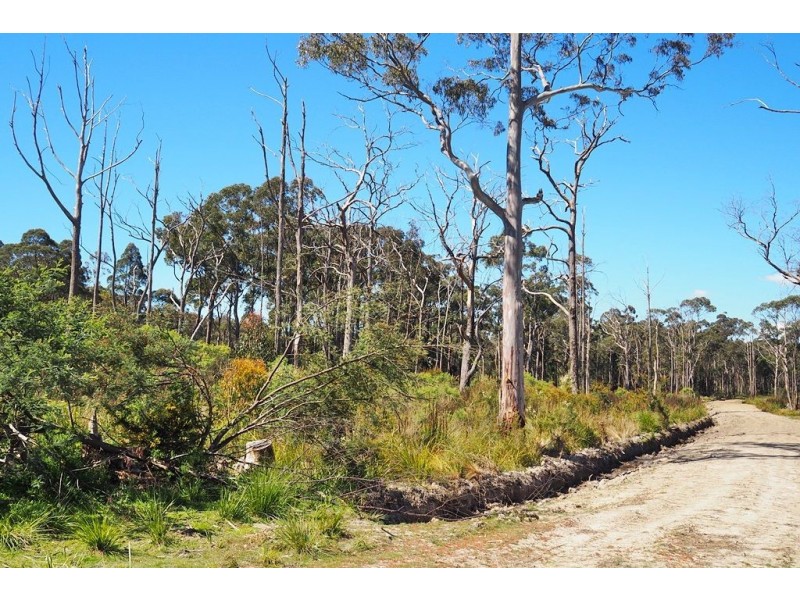 Lot 2 Coal Hill Road, Latrobe TAS 7307