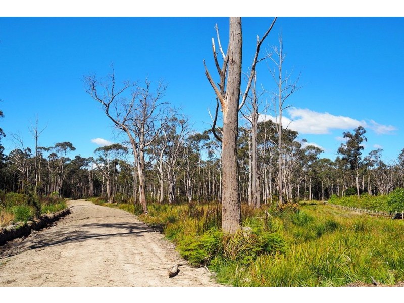 Lot 2 Coal Hill Road, Latrobe TAS 7307