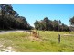 Lot 2 Coal Hill Road, Latrobe TAS 7307