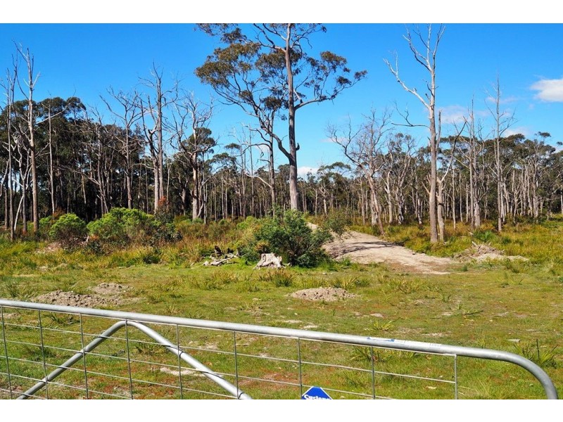 Lot 2 Coal Hill Road, Latrobe TAS 7307