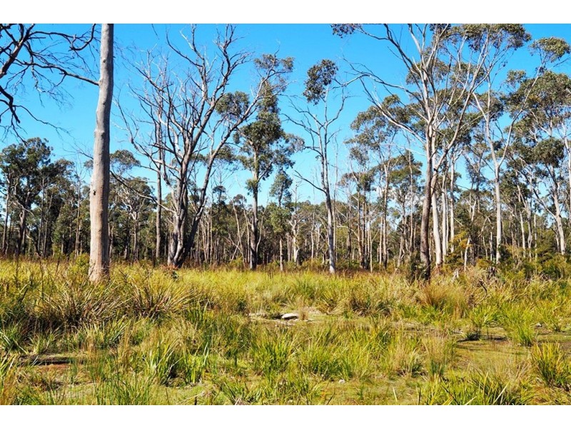 Lot 2 Coal Hill Road, Latrobe TAS 7307