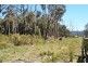 Lot 2 Coal Hill Road, Latrobe TAS 7307