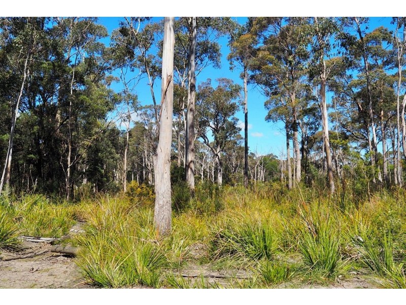 Lot 2 Coal Hill Road, Latrobe TAS 7307