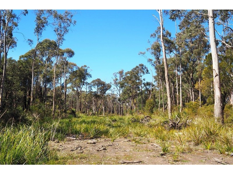 Lot 2 Coal Hill Road, Latrobe TAS 7307