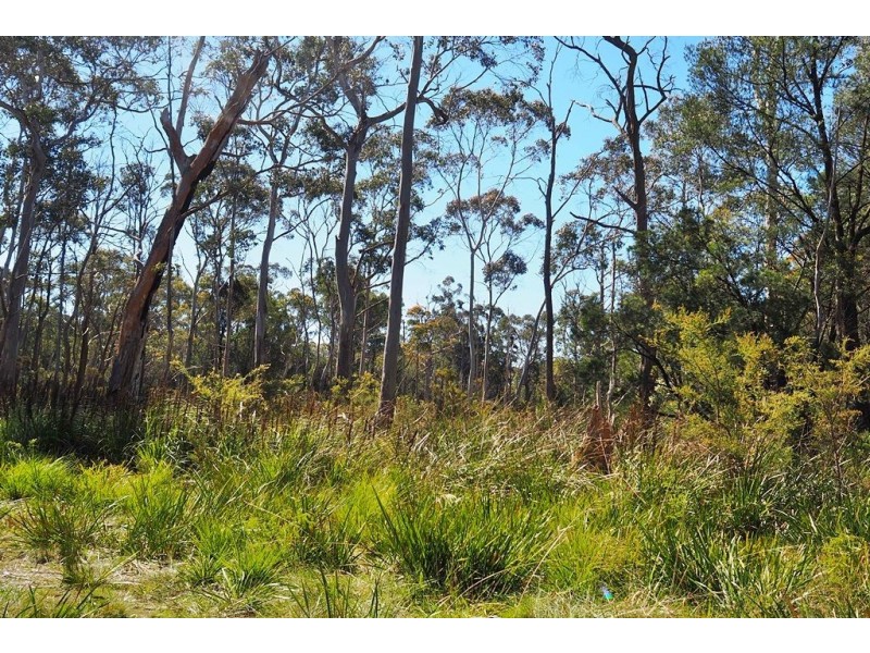 Lot 2 Coal Hill Road, Latrobe TAS 7307
