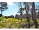 Lot 2 Coal Hill Road, Latrobe TAS 7307