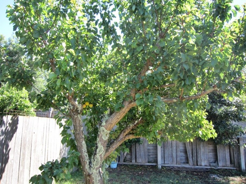 45 Stephen Street, East Devonport TAS 7310