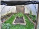 1863 Frankford Road, Frankford TAS 7275