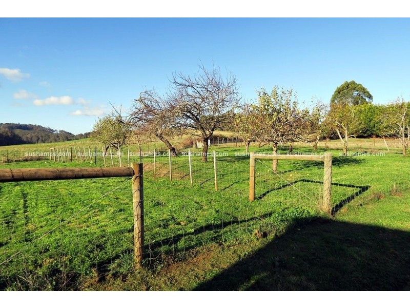 29 Main Street, Wilmot TAS 7310