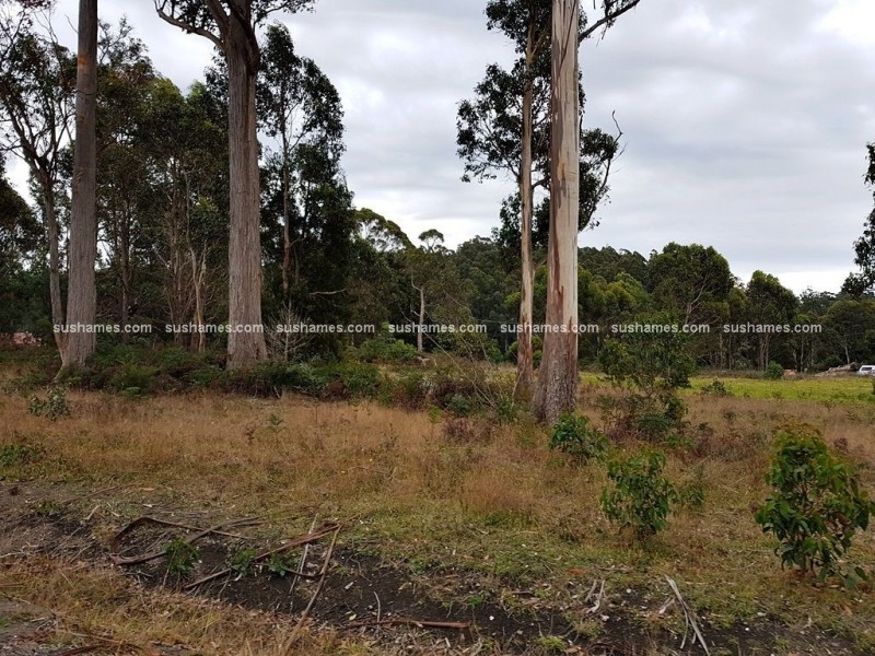 Lot 1 James Road, Acacia Hills TAS 7306