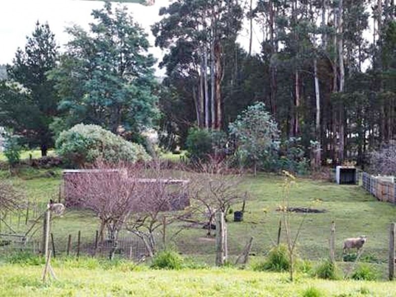 50 Foster Street, Railton TAS 7305