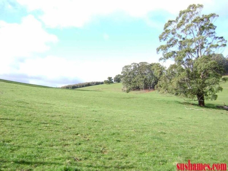 880 Beulah Road, Beulah TAS 7306