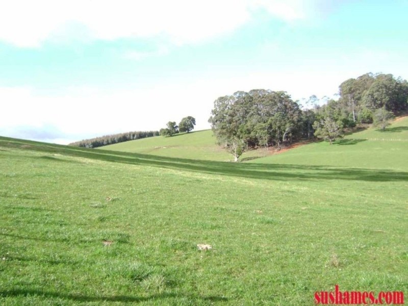 880 Beulah Road, Beulah TAS 7306