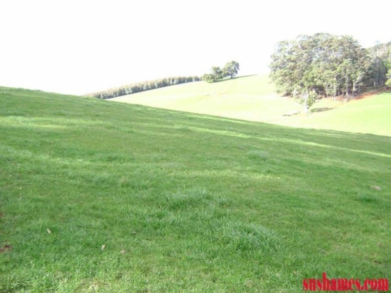 880 Beulah Road, Beulah TAS 7306