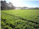 94 Parsons Road, Thirlstane TAS 7307