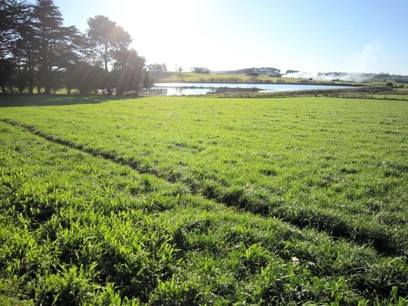94 Parsons Road, Thirlstane TAS 7307