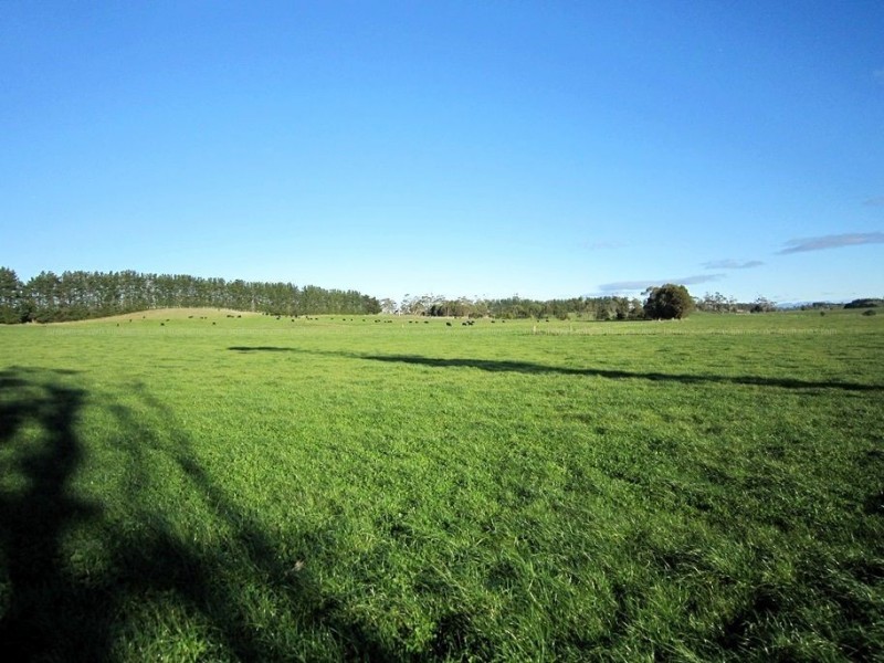94 Parsons Road, Thirlstane TAS 7307