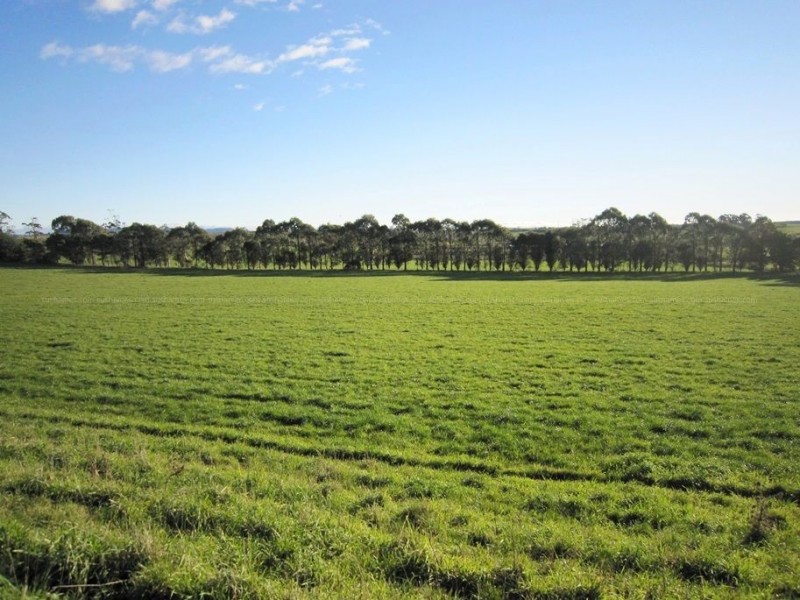 94 Parsons Road, Thirlstane TAS 7307