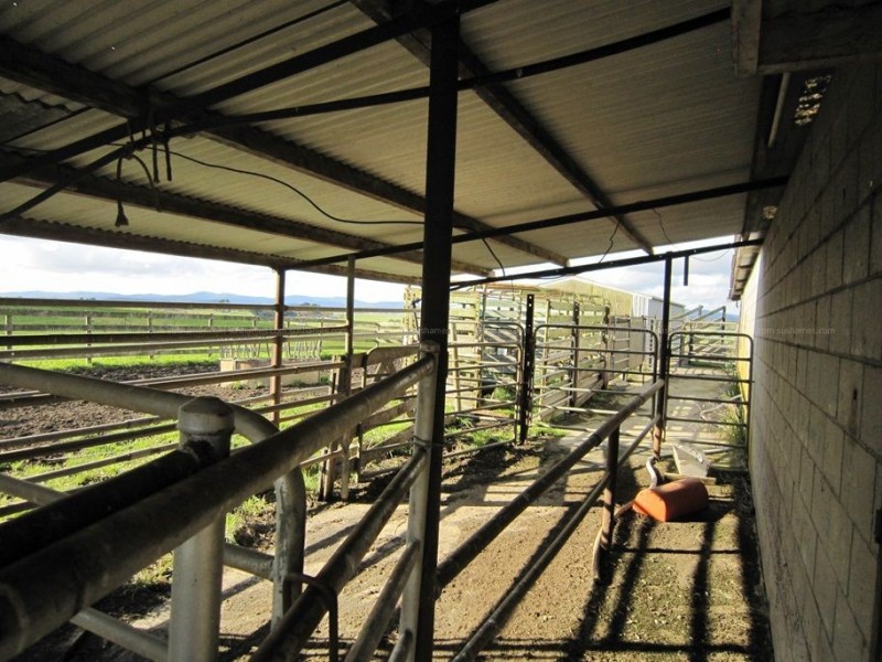 94 Parsons Road, Thirlstane TAS 7307