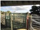 94 Parsons Road, Thirlstane TAS 7307