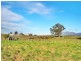 336 Back Road, Wilmot TAS 7310