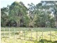 336 Back Road, Wilmot TAS 7310