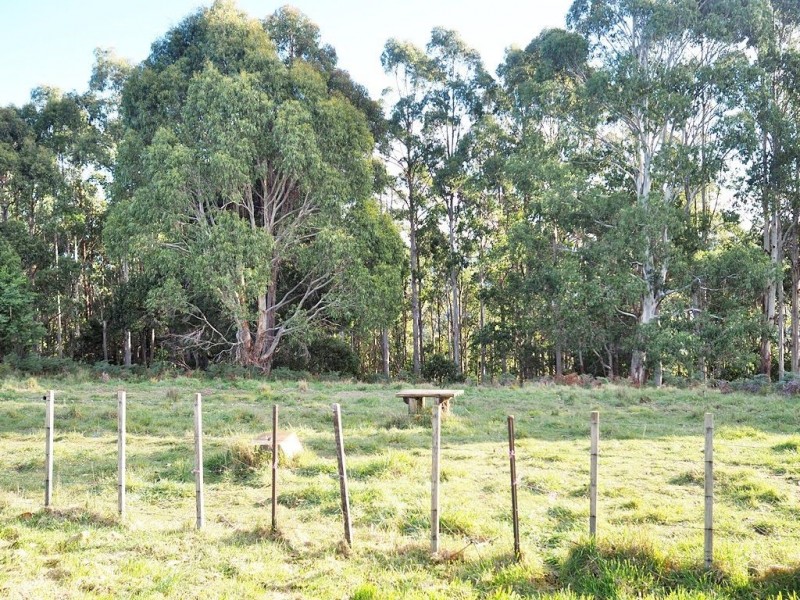 336 Back Road, Wilmot TAS 7310